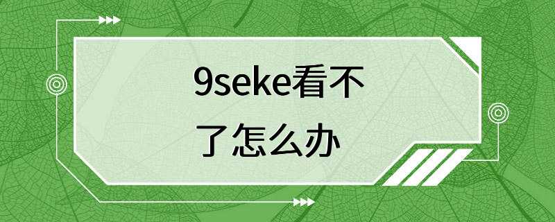 9seke看不了怎么办