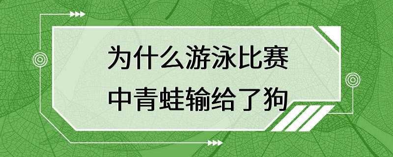 为什么游泳比赛中青蛙输给了狗