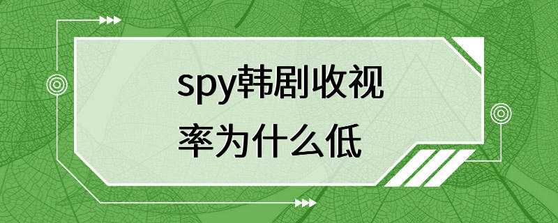 spy韩剧收视率为什么低