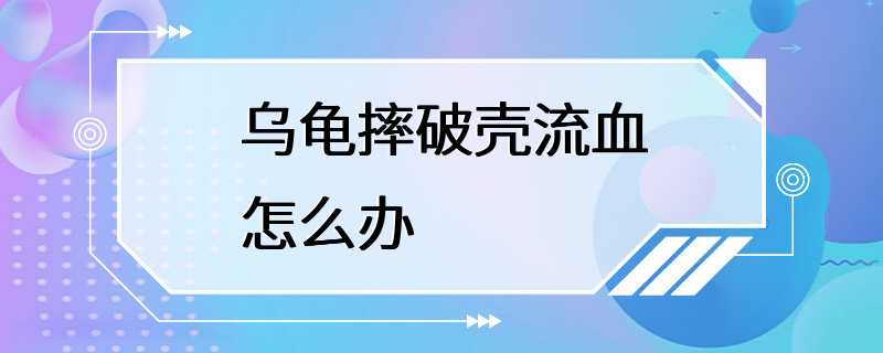 乌龟摔破壳流血怎么办