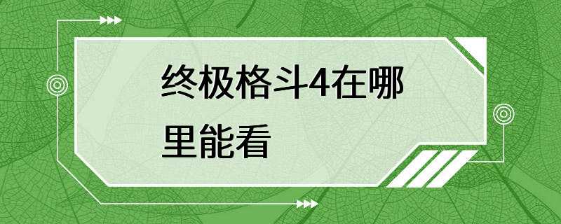 终极格斗4在哪里能看