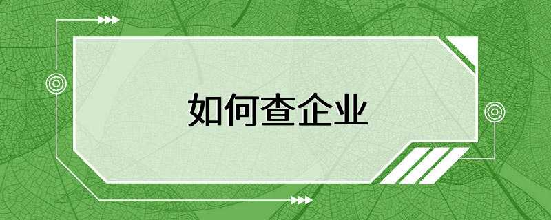 如何查企业