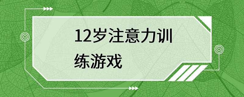 12岁注意力训练游戏