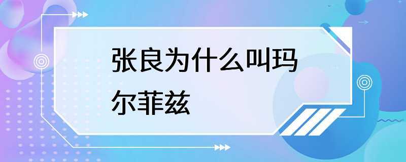 张良为什么叫玛尔菲兹