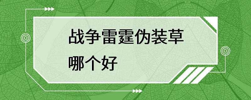 战争雷霆伪装草哪个好