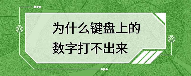 为什么键盘上的数字打不出来