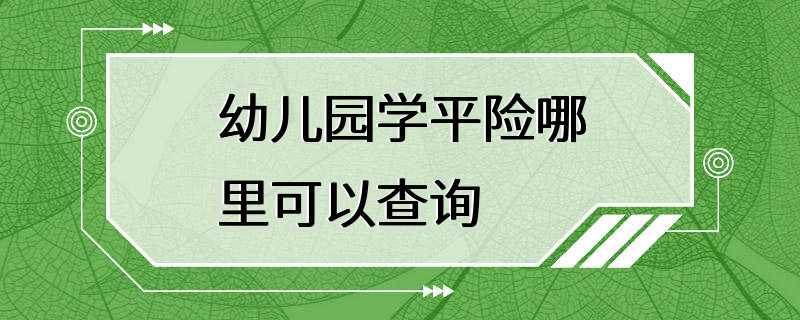 幼儿园学平险哪里可以查询