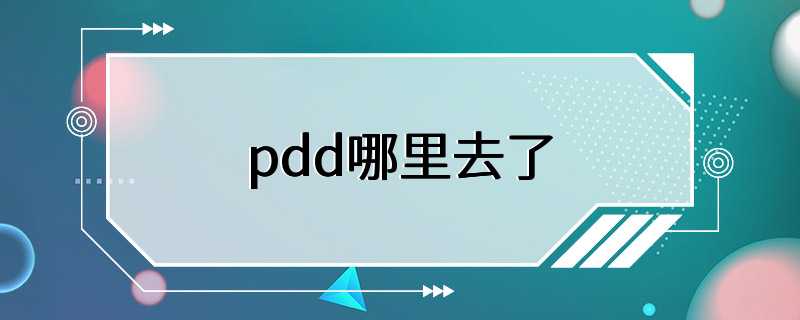 pdd哪里去了