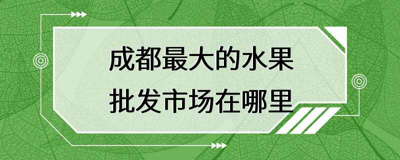 成都最大的水果批发市场在哪里