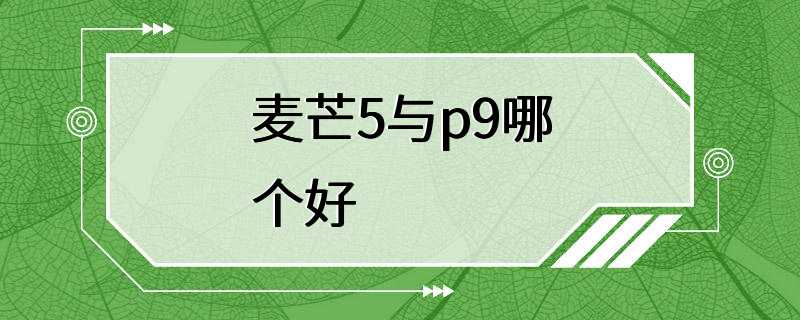 麦芒5与p9哪个好