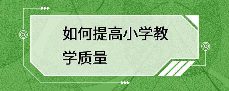 如何提高小学教学质量