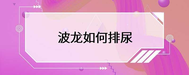 波龙如何排尿