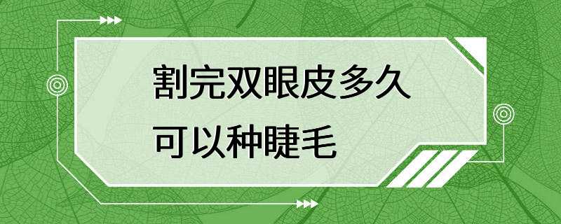 割完双眼皮多久可以种睫毛