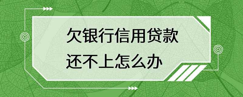 欠银行信用贷款还不上怎么办