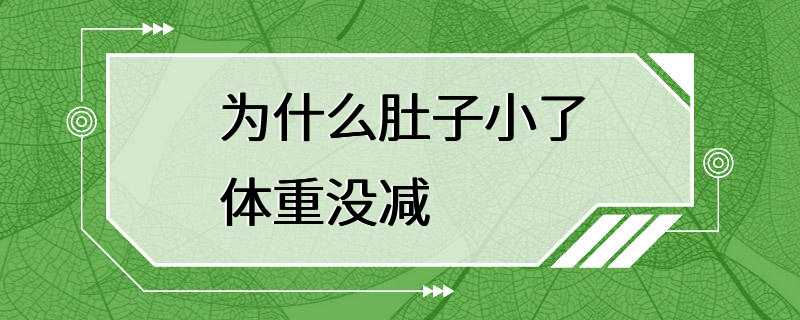 为什么肚子小了体重没减