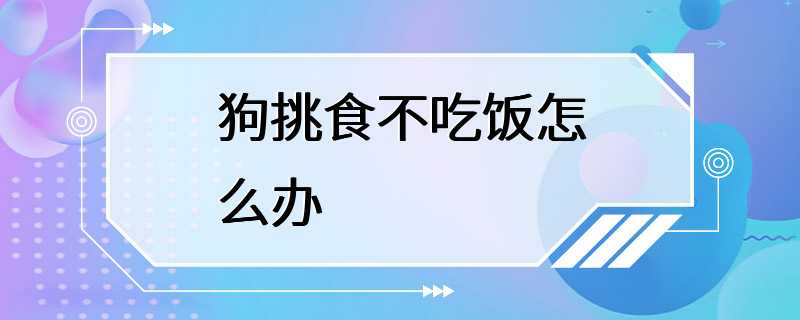 狗挑食不吃饭怎么办