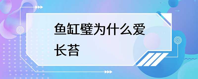 鱼缸璧为什么爱长苔