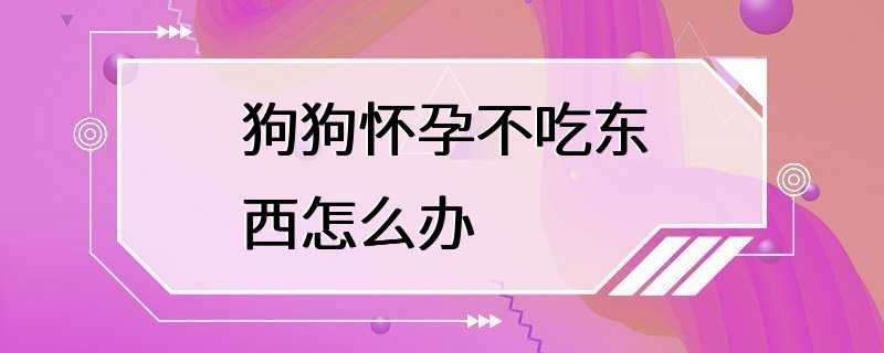 狗狗怀孕不吃东西怎么办