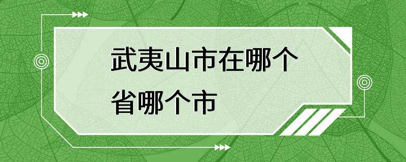 武夷山市在哪个省哪个市