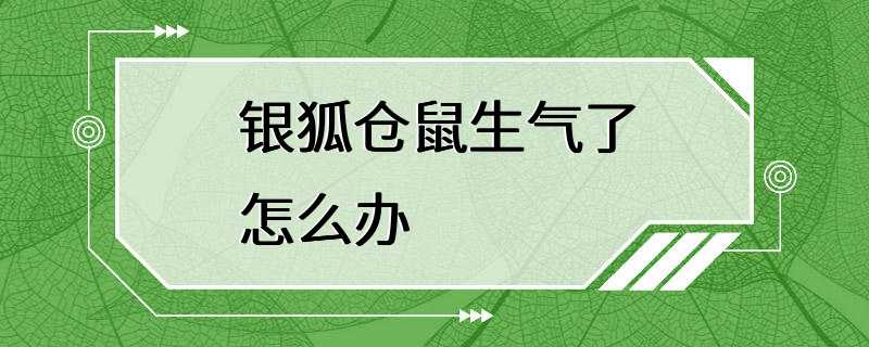 银狐仓鼠生气了怎么办