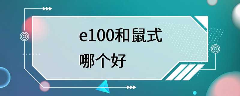 e100和鼠式哪个好