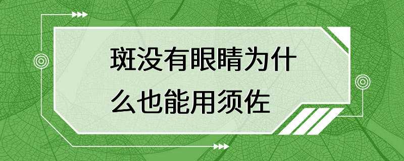 斑没有眼睛为什么也能用须佐