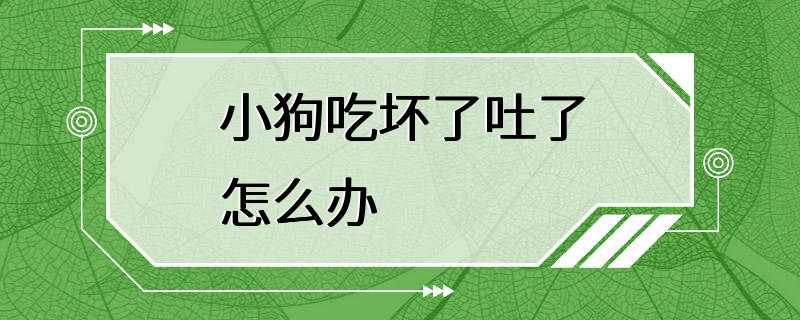 小狗吃坏了吐了怎么办