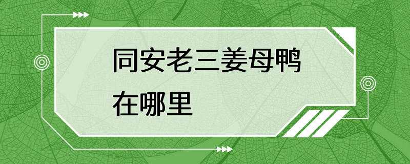 同安老三姜母鸭在哪里