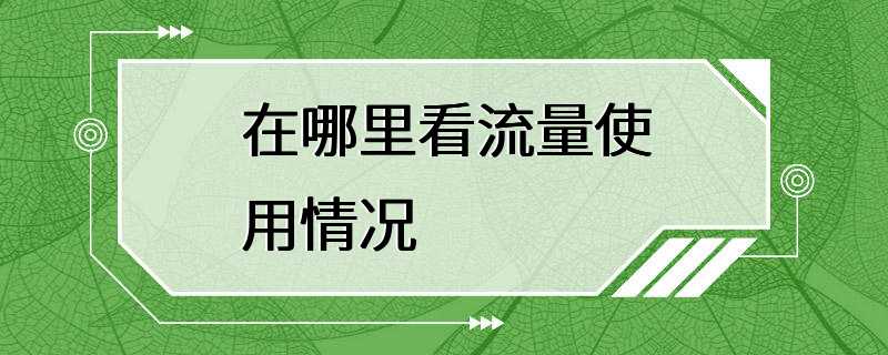 在哪里看流量使用情况