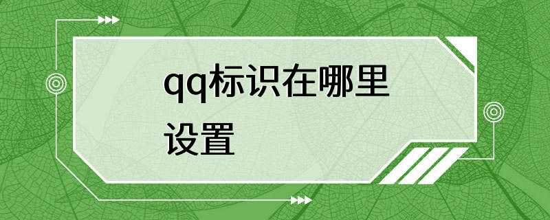 qq标识在哪里设置