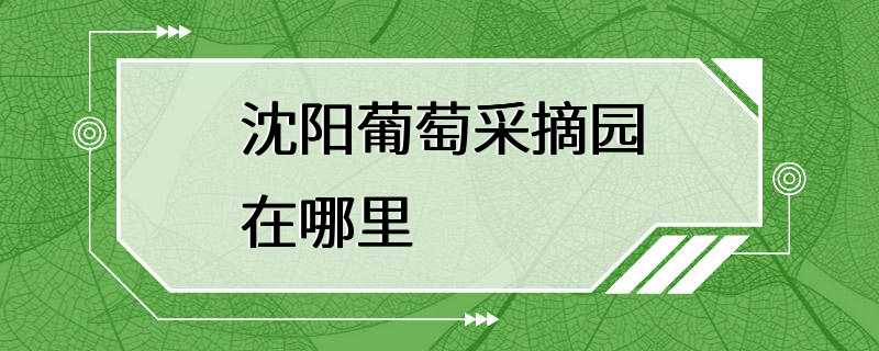 沈阳葡萄采摘园在哪里