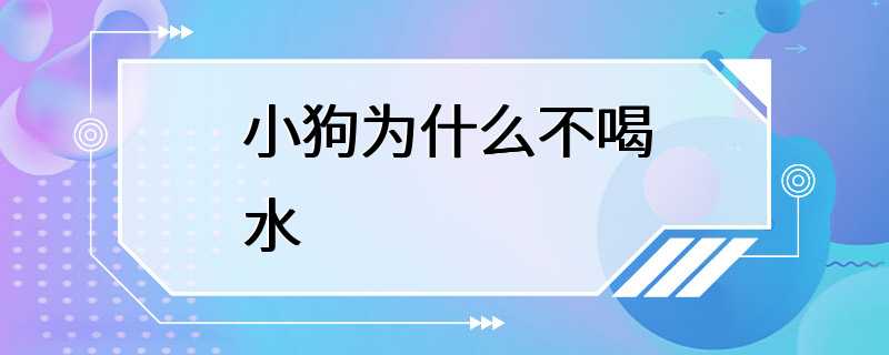 小狗为什么不喝水