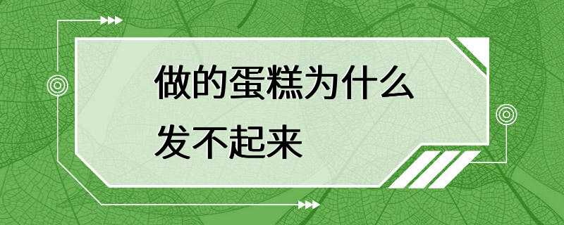 做的蛋糕为什么发不起来