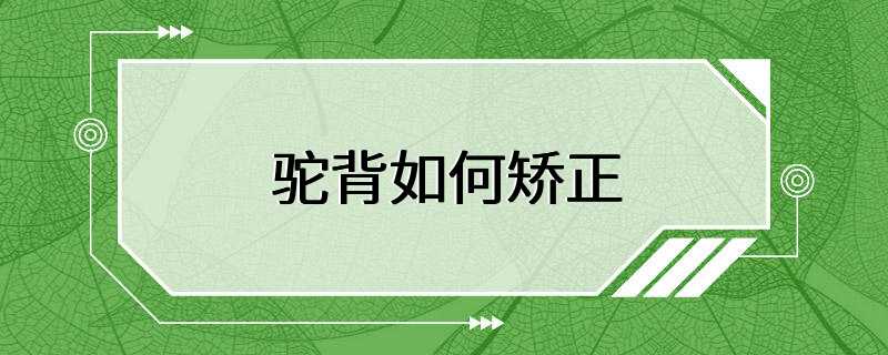 驼背如何矫正