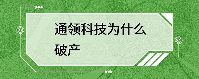 通领科技为什么破产