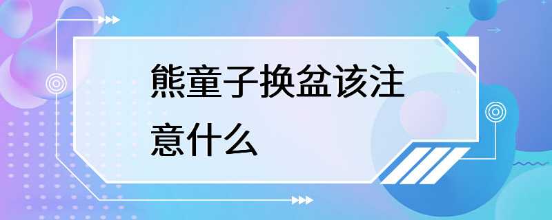 熊童子换盆该注意什么