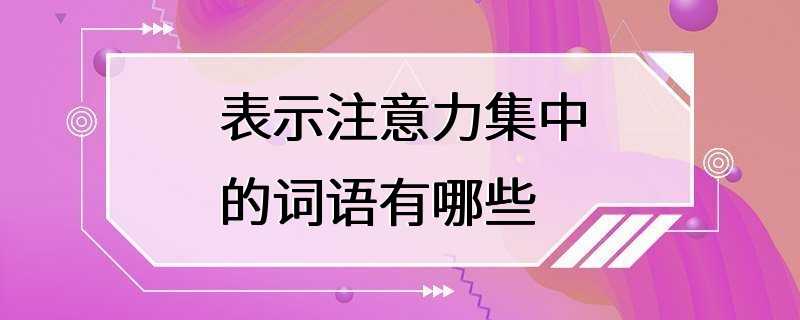 表示注意力集中的词语有哪些