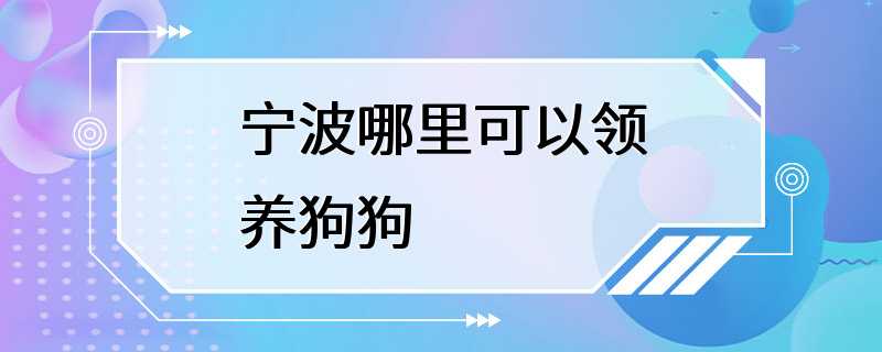 宁波哪里可以领养狗狗