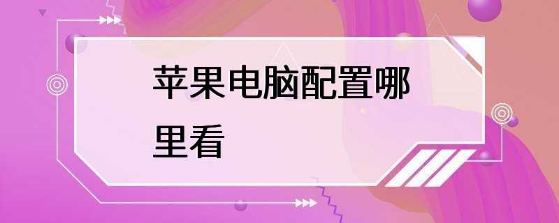 苹果电脑配置哪里看