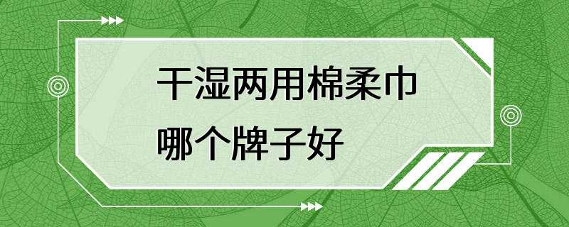 干湿两用棉柔巾哪个牌子好