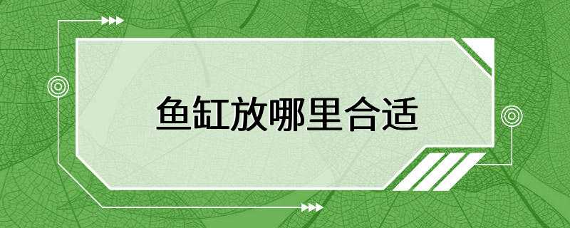 鱼缸放哪里合适