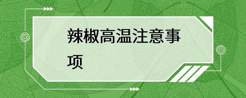 辣椒高温注意事项