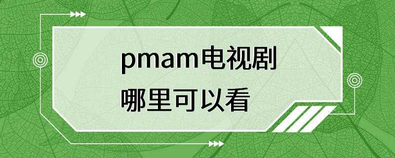 pmam电视剧哪里可以看