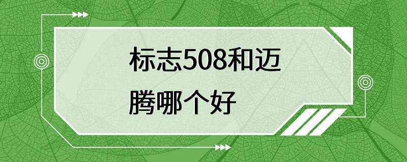 标志508和迈腾哪个好