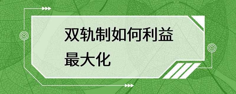 双轨制如何利益最大化