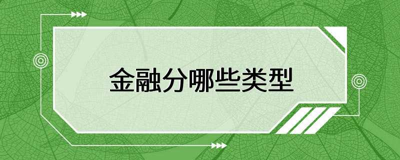 金融分哪些类型