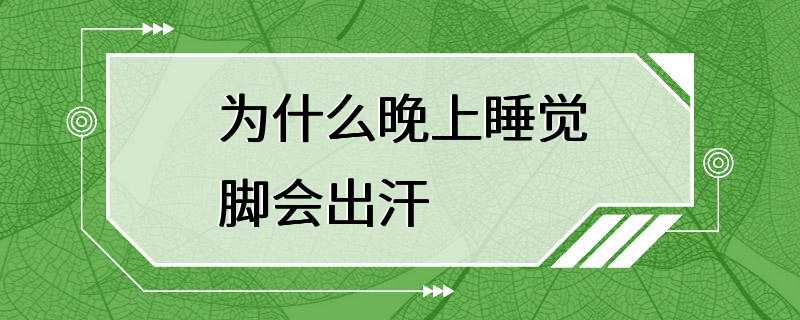 为什么晚上睡觉脚会出汗