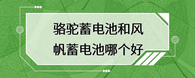 骆驼蓄电池和风帆蓄电池哪个好