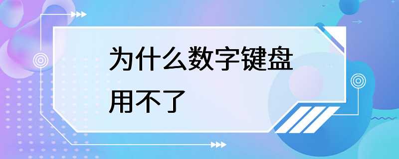 为什么数字键盘用不了