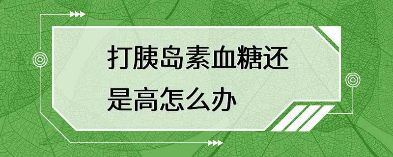 打胰岛素血糖还是高怎么办